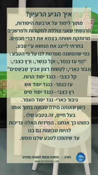טליה בר לב (7)