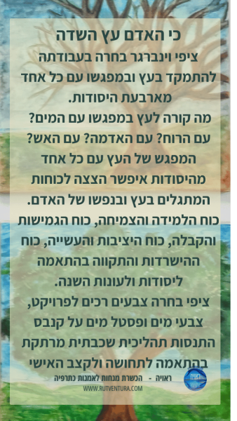 ציפי וינברגר (2)