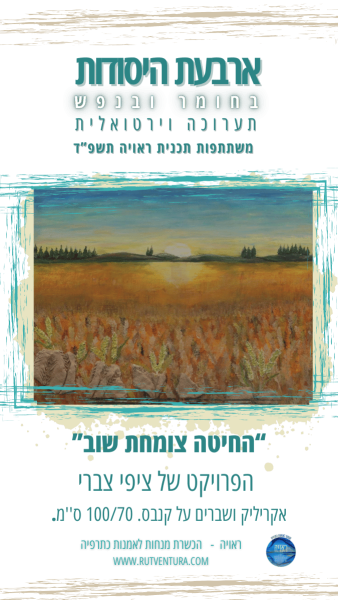 ציפי צברי 1 (3)